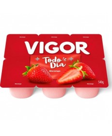 BEBIDA L&Aacute;CTEA MORANGO TODO DIA VIGOR 540G 