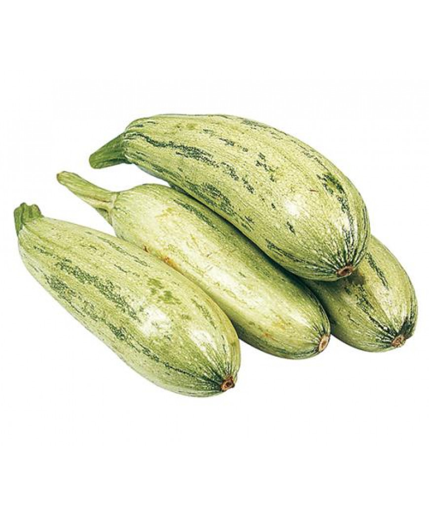 ABOBRINHA ITALIANA KG